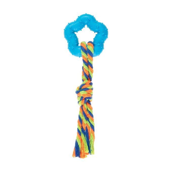 étoile corde et dentition